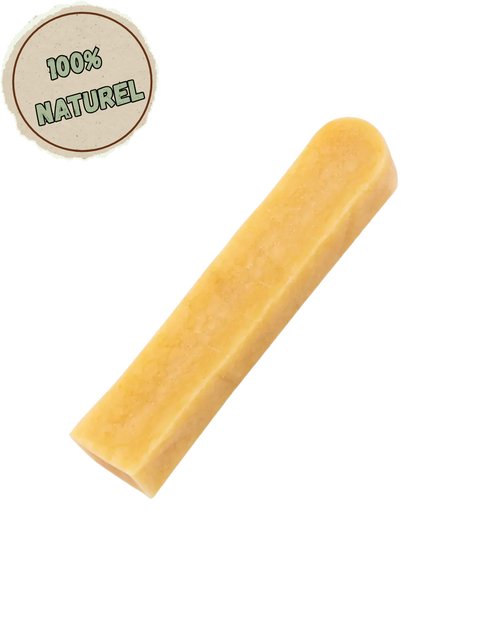 Mastication de longue durée pour chien