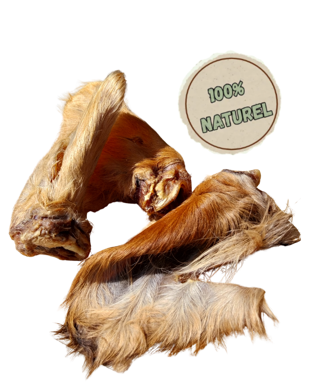 Oreille de Boeuf avec poils