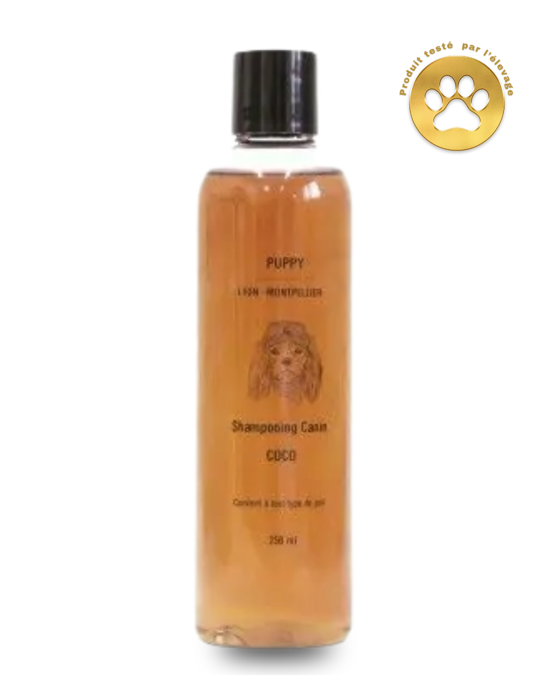 Shampoing à la coco pour chien