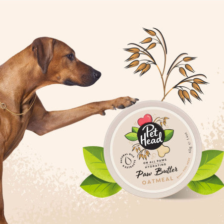 Baume pattes Pet Head : 40gr